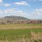Vrede, Free state