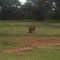Sondela Nature Reserve