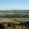 Williston