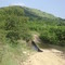 cebe road 2008