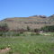 Aasvoelberg