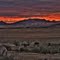Zastron sunset from Palestina Guest Farm