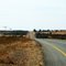 The road to Zeerust