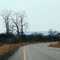 Towards Zeerust