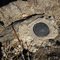 Survey marker