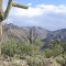 Quartz Peak...by the sweat of their brow