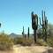 Sonoran Desert National Monument
