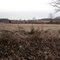 Brandy Station Battlefield, near Culpeper, Virginia, Winter, 2005