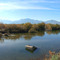 Facing south at the Tres Rios Wetlands