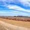 Cotton Field