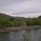 DOWN STREAM VIEW OF THE GILA RIVER FROM BONITA CREEK !