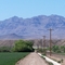Cotton Farm along the Gila River