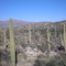 Saguaro National Park, Arizona http://goplanettravel.blogspot.com