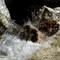 winter water 2