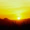Sonoran Cactus sunset