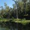 Wacissa River