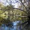 River to Spring #2.