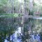 Spring at north end of main river