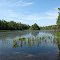 Looking up the Wacissa River from the Goose Pasture ramp