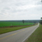 looking south toward Wacissa River, Thomas City, Florida (12-31-2006)