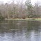 St. Marks River Rise (Leon County, FL)