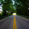 Canopy Road in Jefferson County