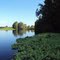 Ocklawaha river