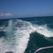 Saling, looking for coral reef.