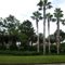 New Tampa