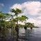 Blue Cypress Lake #1
