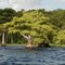 Blue Cypress Lake