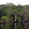 Cypress Gardens at Blue Cypress Lake