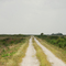 A long and lonely road to somewhere......