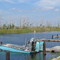 Sawgrass Recreation Park, Everglades
