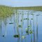 Florida Everglade National Park
