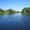Scene from the Everglades National Park
