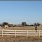 Horse Ranch