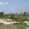 Blocked Entrance next to Okeechobee Road - Weston, Florida - USA