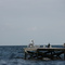 Pelicans, Gulls & Ahinga.