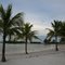 Beach in Bayfront Park