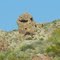 Alien Rock