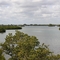 View from Tower