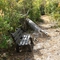 Bench on Rustic Trail