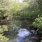 Marsh View