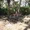 caretakers house remains