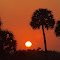 Martin County Sunrise
