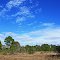 wildlife observation deck at the pinelands back forty