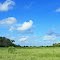 florida plains