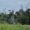 windmill in the pasture off the trail
