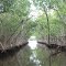 Everglades